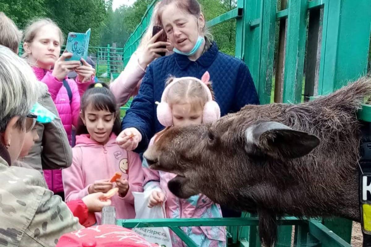 В День защиты детей Костромские партийцы провели серию праздничных мероприятий