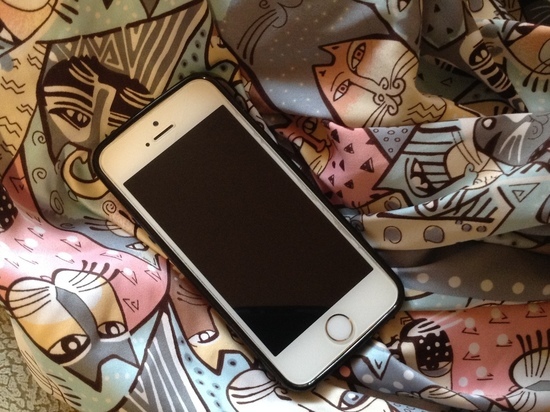 В Смоленске забытый на прилавке гаджет прикарманила 43-летняя дама