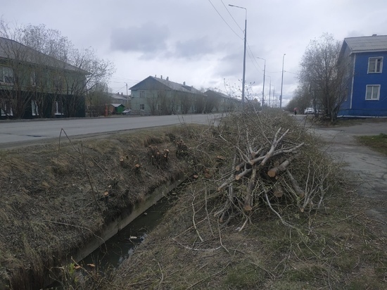«Песок летит в лицо»: вырубка деревьев на Маяковского возмутила жителей Салехарда