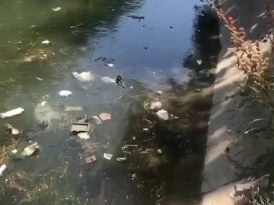 Махачкалинский КОР очистят от мусора