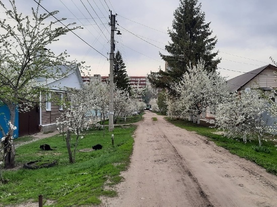 В Тамбовской области подключение  домов к газу станет бесплатным