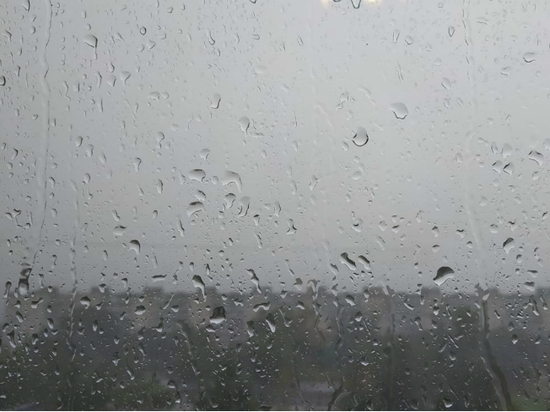 Прогноз погоды: в Хабаровске 4 июня дождливо, днем до +16