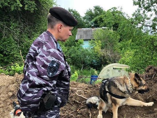 Полицейские обнаружили в Новороссийске останки солдат и боеприпасы времён ВОВ