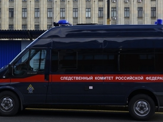 Замглавврача перинатального центра в Красноярске попал под следствие после скандала с торговлей детьми