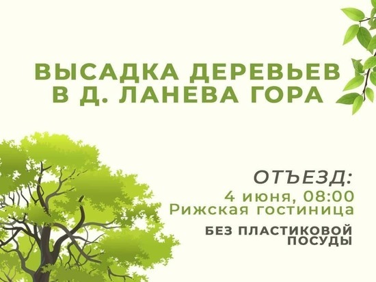 Псковичей приглашают принять участие в высадке деревьев