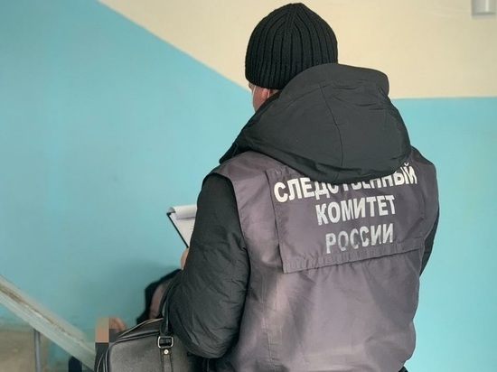Житель Новочеркасска пойдет под суд за убийство приятеля