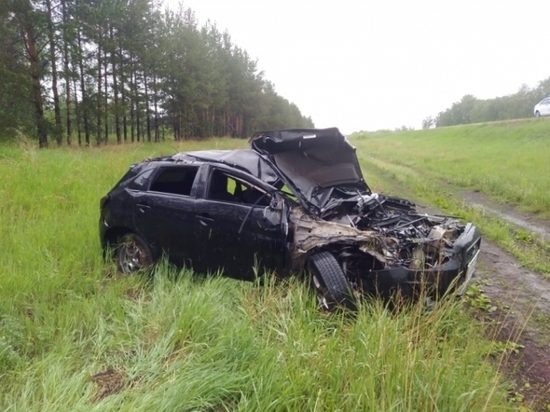 На севере Омской области ещё один водитель улетел в кювет и погиб