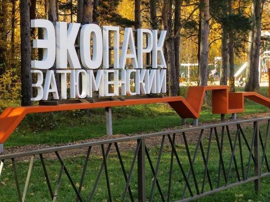 «Городская территория здоровья» переместилась в парки Тюмени