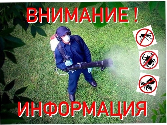 Обработка территорий от гнуса началась в Муравленко