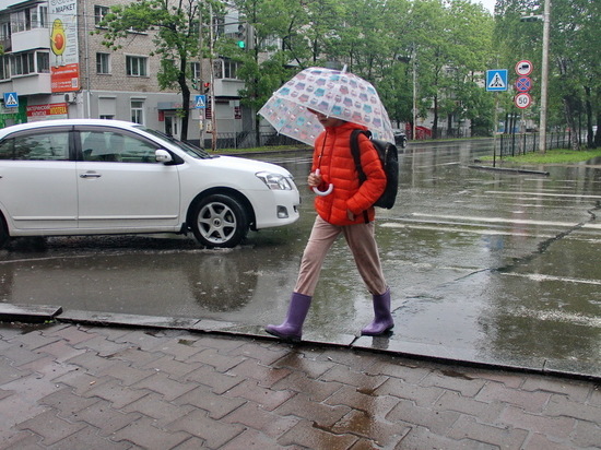 Прогноз  погоды в Хабаровске на 5 июня 2021 года: опять дожди