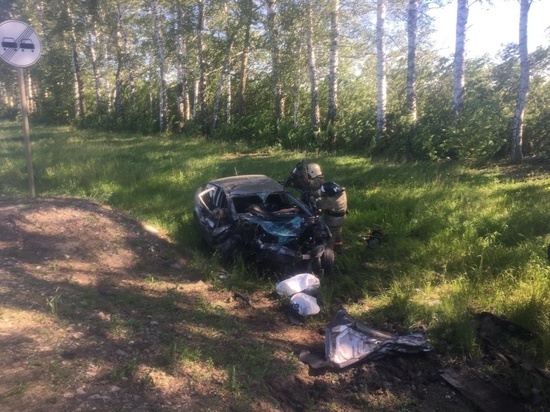 Три человека погибли в жутком ДТП с двумя легковушками на трассе Р-132 в Тульской области