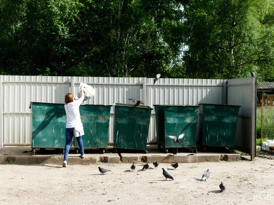 В Котовске появятся 100 новых контейнеров для мусора