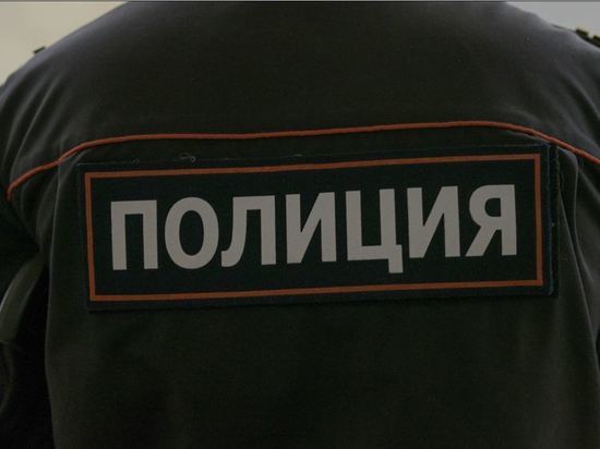 Застрелившего нарушителя новосибирского полицейского освободили по поручению Бастрыкина