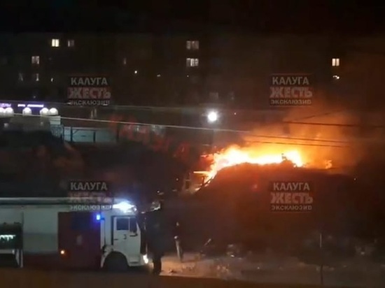 В Калуге в новом парке произошел мощный пожар