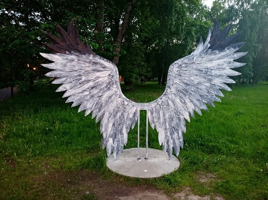 В новгородском парке вандалы испортили арт-объект «Крылья»