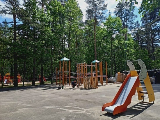 Губернатор осмотрел новую детскую площадку в Пушкинских Горах