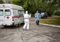 За сутки в Новосибирской области коронавирус найден еще у 87 человек