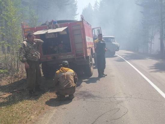 Лесной пожар площадью 8 га разгорелся возле Молоковки, дорога перекрыта
