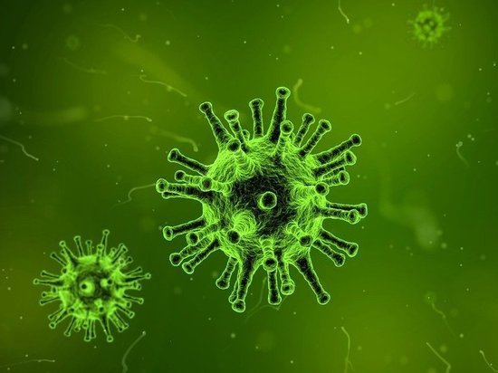 39 жителей Псковской области заболели коронавирусом за сутки