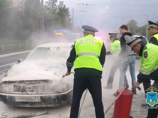 Белгородские автоинспекторы тушили горевший на Богдана Хмельницкого «Ауди»
