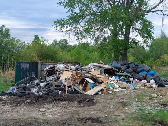 На окраине Омска не вывозят мусор, который может и загореться