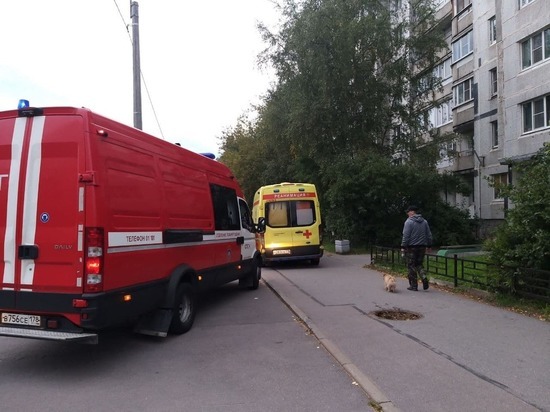 Семья пострадала в ДТП с такси, влетевшим в поребрик на Петроградской набережной