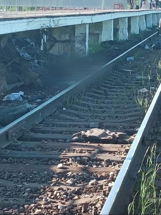 Опубликованы фото с места гибели трёх жителей Тверской области на железной дороге