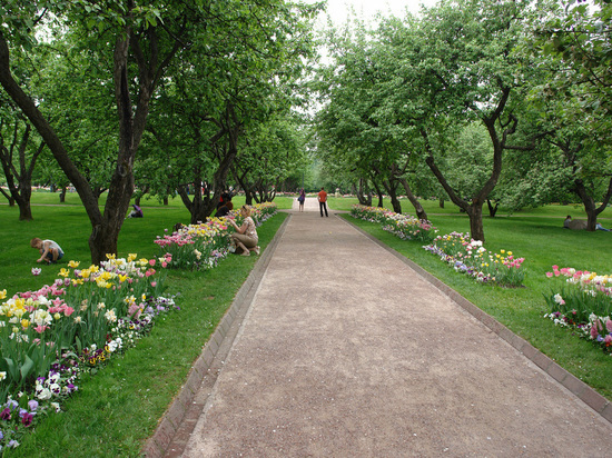 День города Комсомольска-на Амуре 2021 отметят с размахом на площади перед драматическим театром