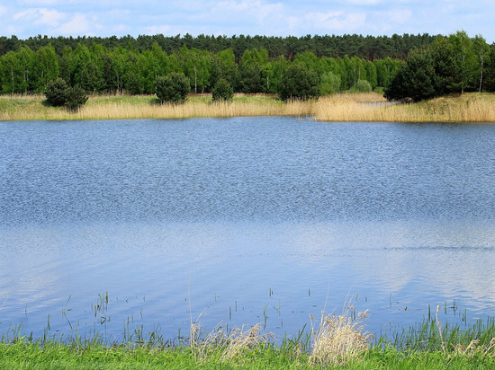 В донецком водоеме обнаружили тело неизвестного