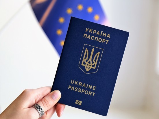 Брянский суд оштрафовал украинку за незаконное пересечение границы РФ