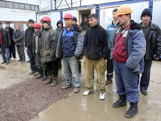 Правительство отрабатывает вопрос упрощенного ввоза в Россию трудовых мигрантов