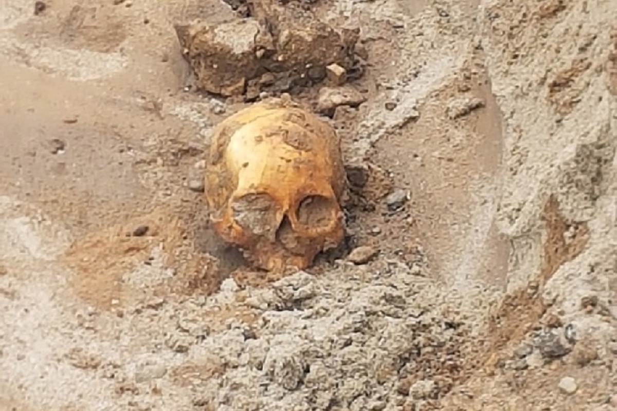В центре Ярославля нашли череп человека