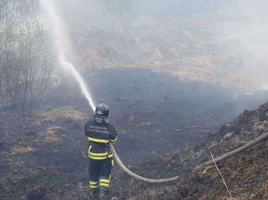 Крупный лесной пожар в Ковдорском районе тушат сотрудники авиационной охраны