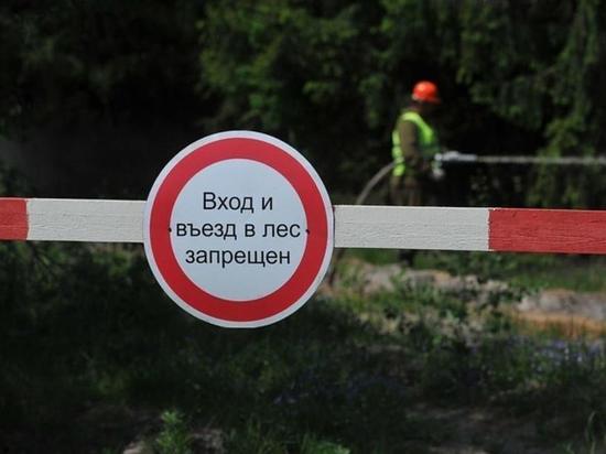 В Ярославской области населению запретили ходить в лес