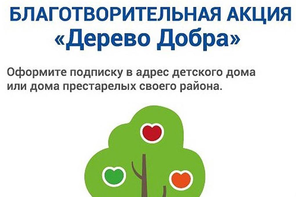 Жители Костромской области подарили детским социальным учреждениям более 300 подписок
