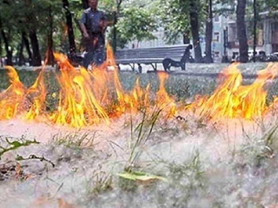 В Челябинске пожарные выезжали на места возгорания тополиного пуха более 100 раз