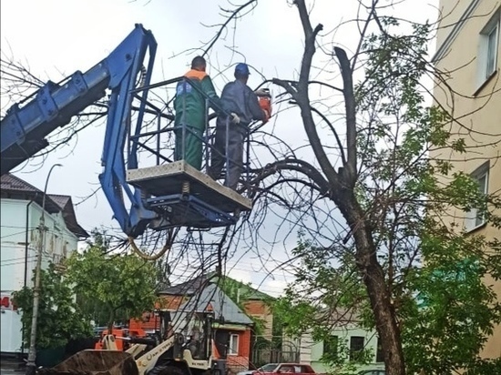 Мичуринские коммунальщики убирают улицы круглосуточно