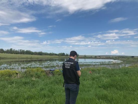 Под Саратовом наездник утонул вместе с лошадью
