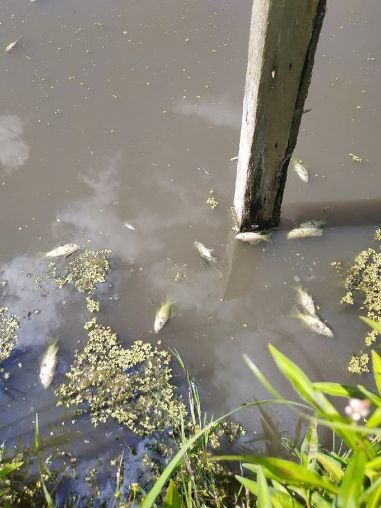 Ущерб от разлива канализации в Балахнинском районе составил более 560 тыс. рублей