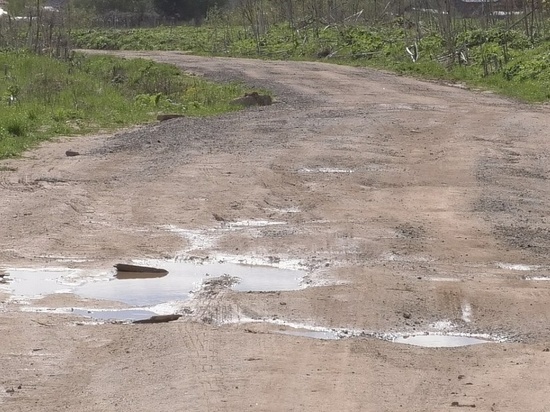 После жалобы к президенту в Зуевском районе начали ремонт дороги