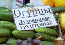 В России хоть и борются с фальсификатом продуктов, но меньше его не становится