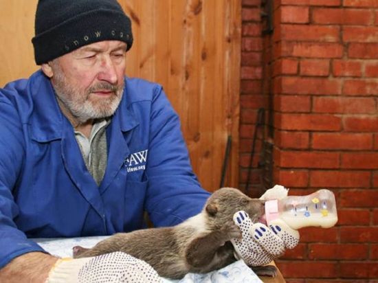 На рыбалке погиб основатель центра спасения медвежат-сирот Валентин Пажетнов