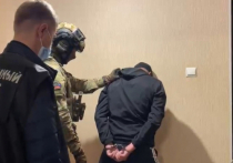 Полицейскими задержан в Томске 49-летний мужчина, которого подозревают в причастности к недавнему резонансному убийство сотрудника охраны Томской домостроительной компании (ТДСК)