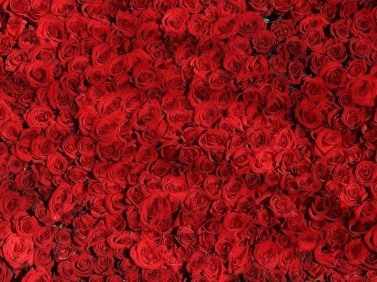 Кемеровские власти потратят более 650 тыс рублей на закупку цветов и услуги флористов