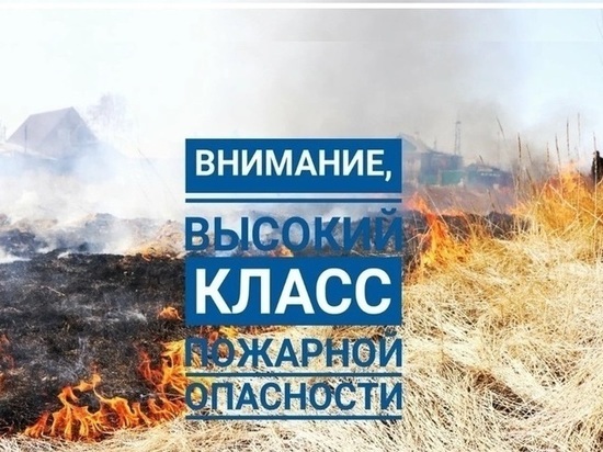 В Ярославской области повысилась пожароопасность