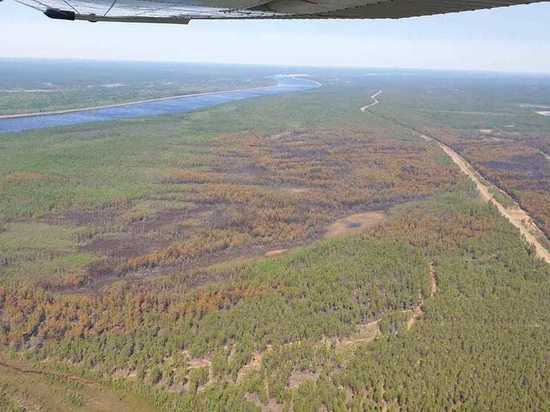 Ликвидированы лесные пожары в Усть-Майском и Сунтарском районах Якутии