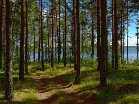 Создание новых особо охраняемых природных территорий затормозилось из-за оспаривания закона в судах