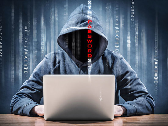 Омский хакер атаковал в сети развлекательные объекты и органы власти