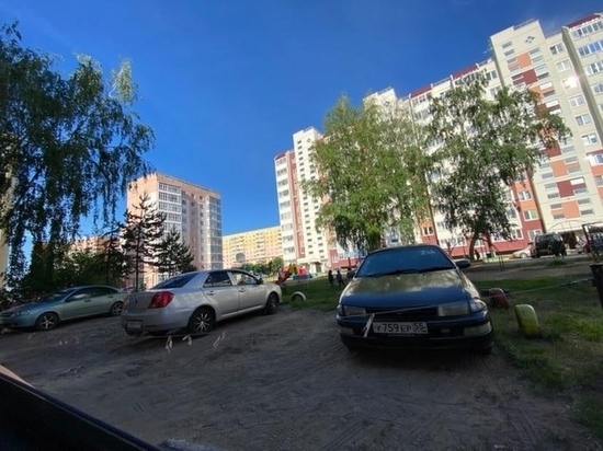 Житель Омска анонимно пожаловался на парковку на детской площадке