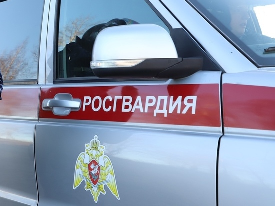 В Скопине 18-летний молодой человек пытался украсть телевизор